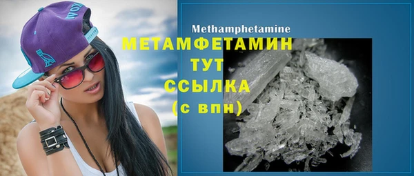 гидра Богородицк