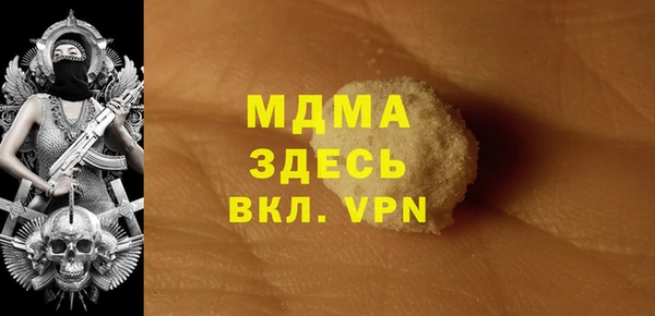 гидра Богородицк
