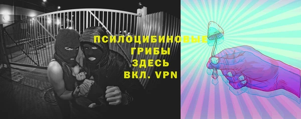 спайс Богданович