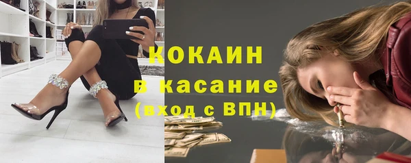 сатива Богородск