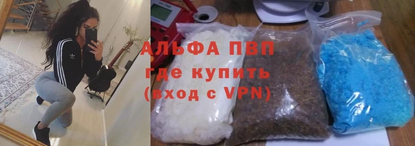 спайс Богданович