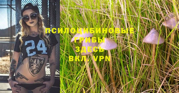гидра Богородицк