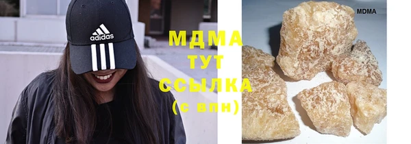 гидра Богородицк