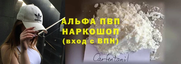спайс Богданович
