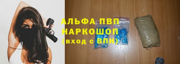 спайс Богданович