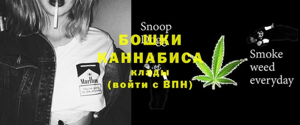 сатива Богородск