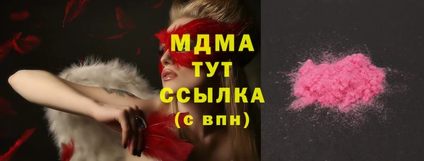 гидра Богородицк