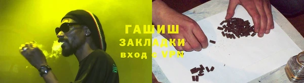 гидра Богородицк