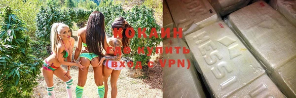 гидра Богородицк