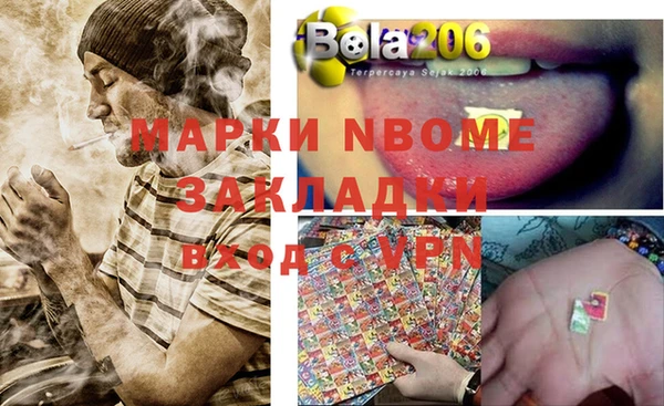 гидра Богородицк