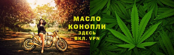 сатива Богородск