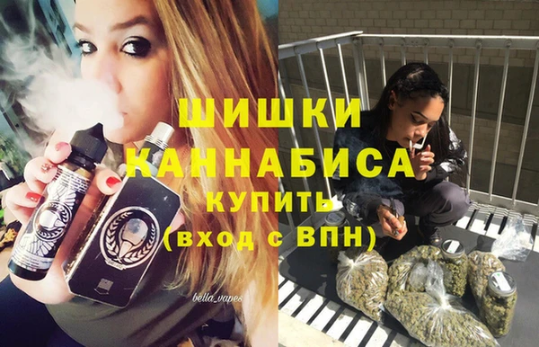 спайс Богданович