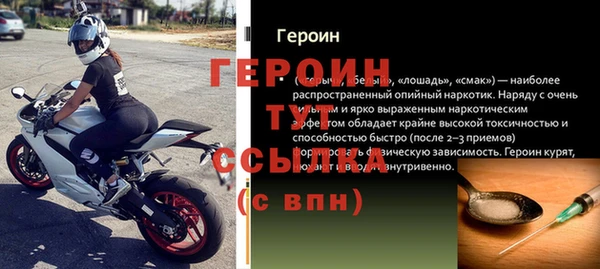 гидра Богородицк