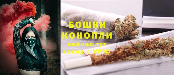 сатива Богородск