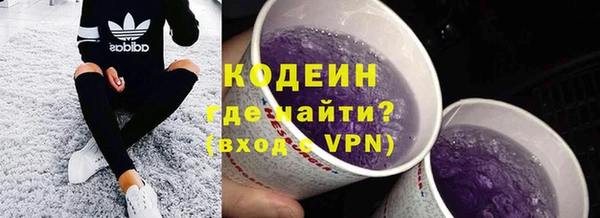 гидра Богородицк